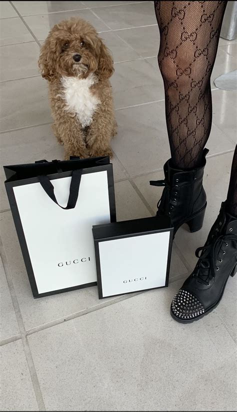 gucci booties for dogs|gucci booties sale.